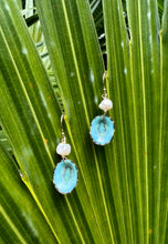 Load image into Gallery viewer, Limpet Seashell Earrings-14k gold Filled