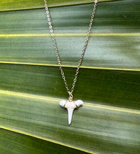 Load image into Gallery viewer, Shark Tooth Necklace