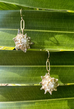 Load image into Gallery viewer, Bella Mack Shell Earrings
