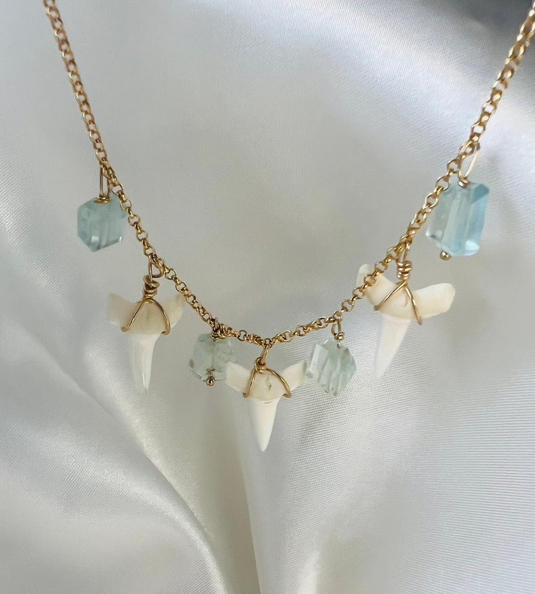 Shark Tooth and Aquamarine Charm Necklace