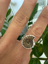Load image into Gallery viewer, Fossil Drift Ring
