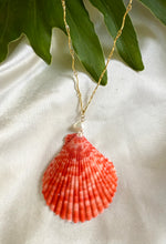 Load image into Gallery viewer, Pinky Shell Necklace
