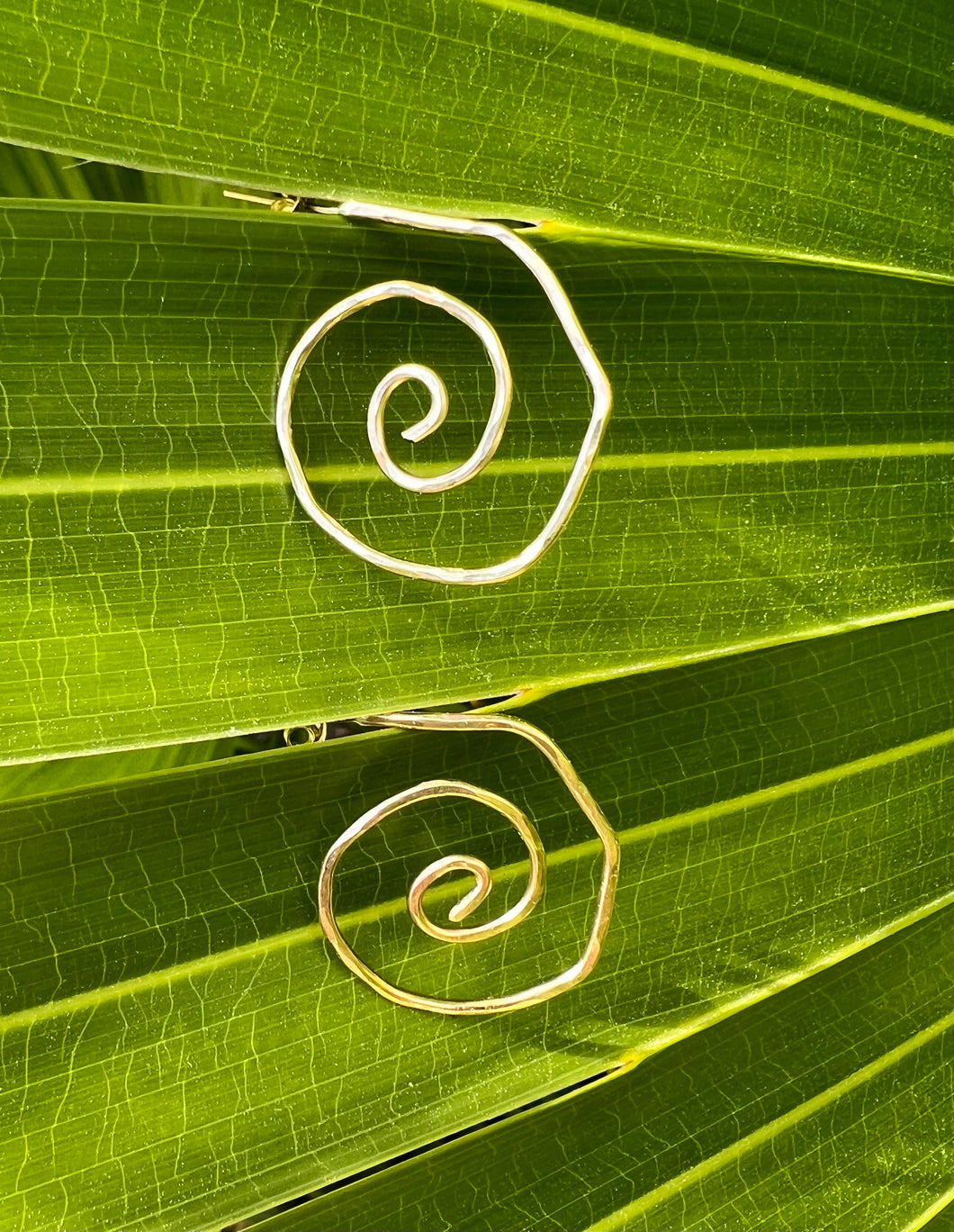 Swirly Shell Earrings