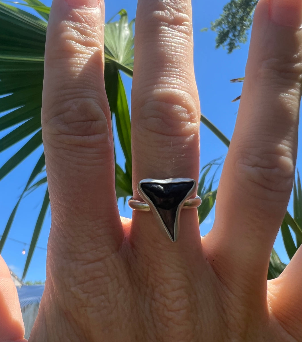 Shark Tooth Ring- Gold Band