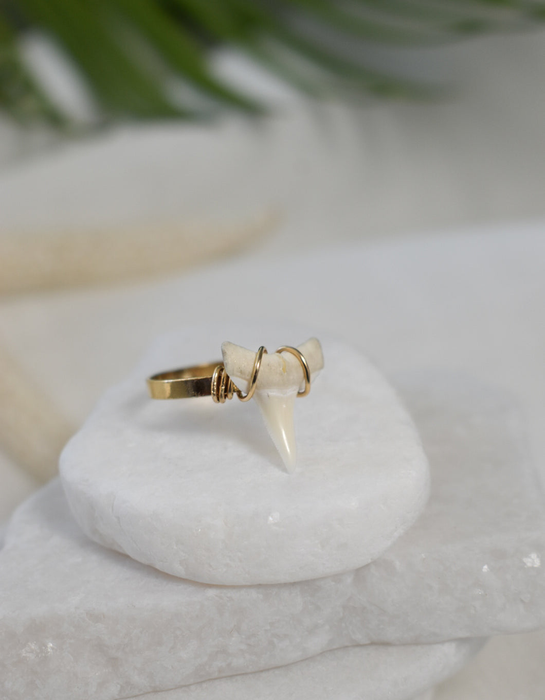 Shark Tooth Wrapped Ring