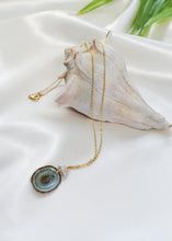 Load image into Gallery viewer, Limpet Seashell and Pearl Necklace
