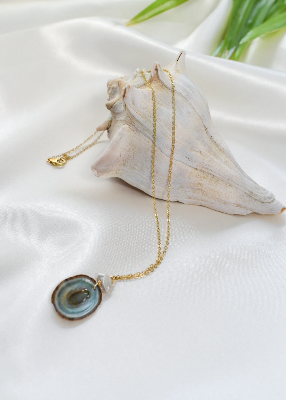 Limpet Seashell and Pearl Necklace