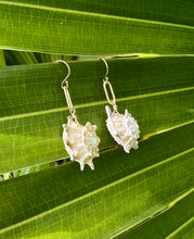 Load image into Gallery viewer, Bella Mack Shell Earrings
