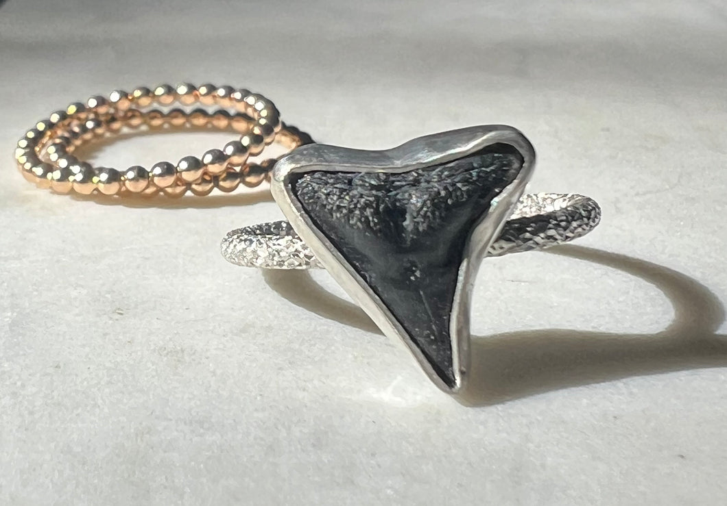 Shark Tooth Ring- Silver