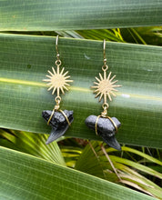 Load image into Gallery viewer, The Ray Ray Earrings
