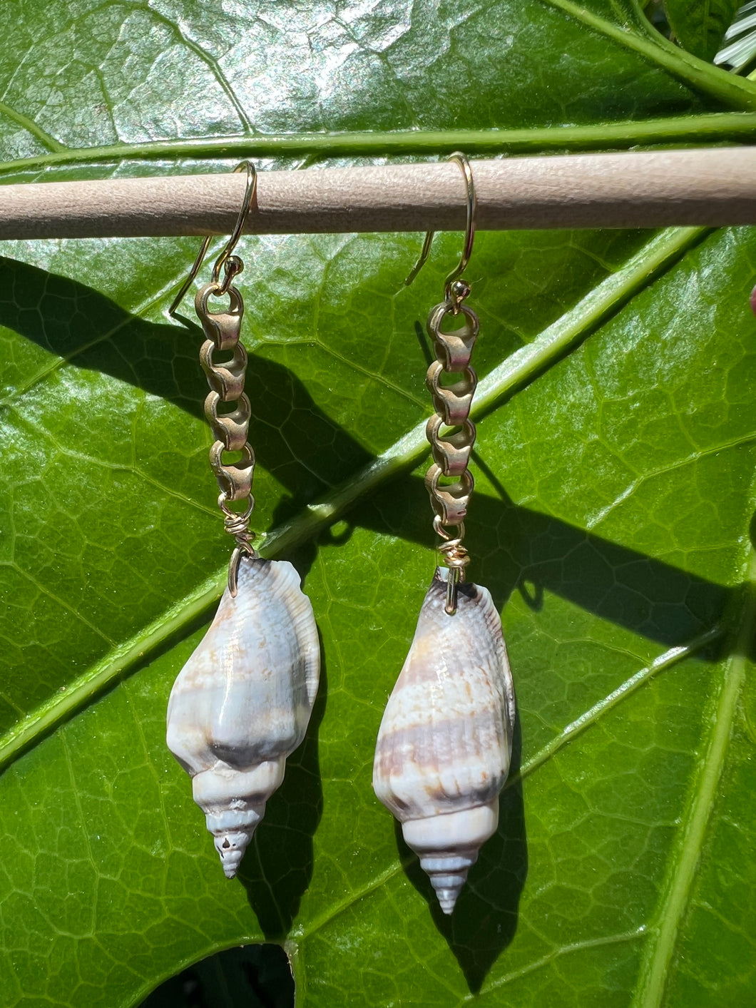 Chula Sea Shell Earrings