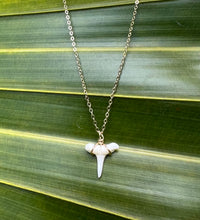 Load image into Gallery viewer, Shark Tooth Necklace
