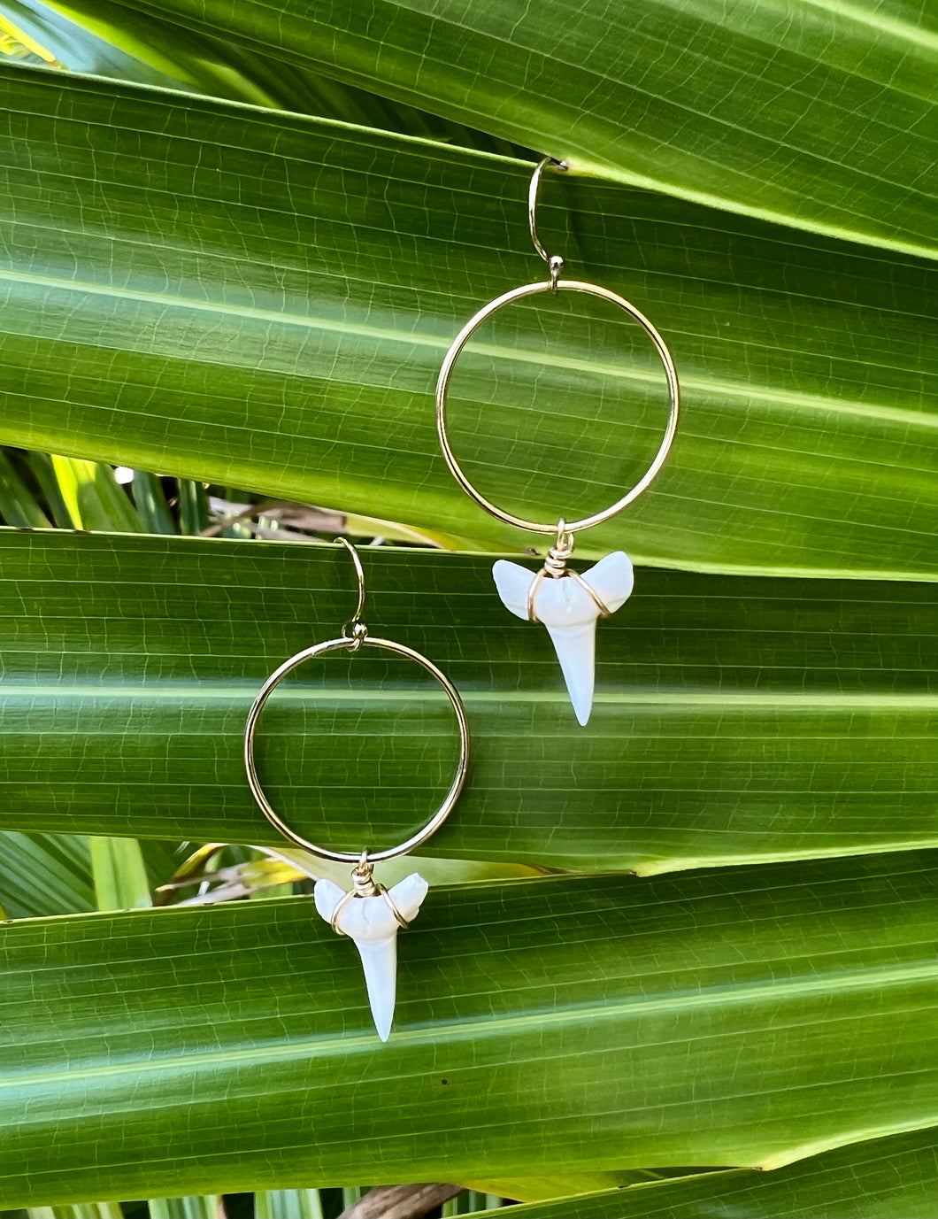 Gold Hoop Shark Teeth Earrings