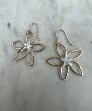 Load image into Gallery viewer, Blooms Stargazer Earrings
