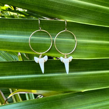 Load image into Gallery viewer, Gold Hoop Shark Teeth Earrings
