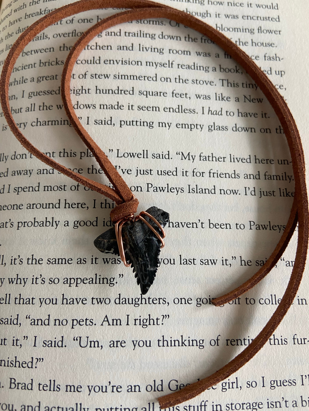 Shark Tooth Book Mark