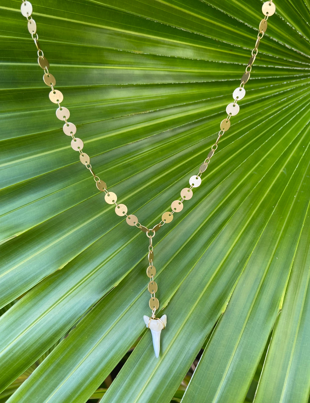 Gold Sequin Lariat White Shark Tooth Necklace